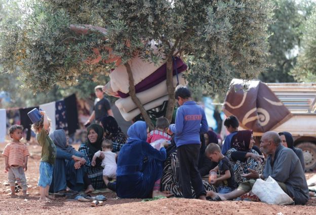 Əsəd rejiminin bombalarından qaçan əhali zeytunluqlara sığındı - Foto