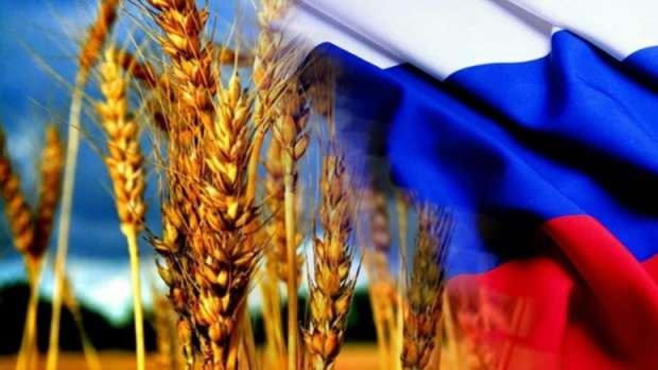 Rusiyadan açıqlama: Biz Ukraynadan taxıl oğurlamadıq – FOTO