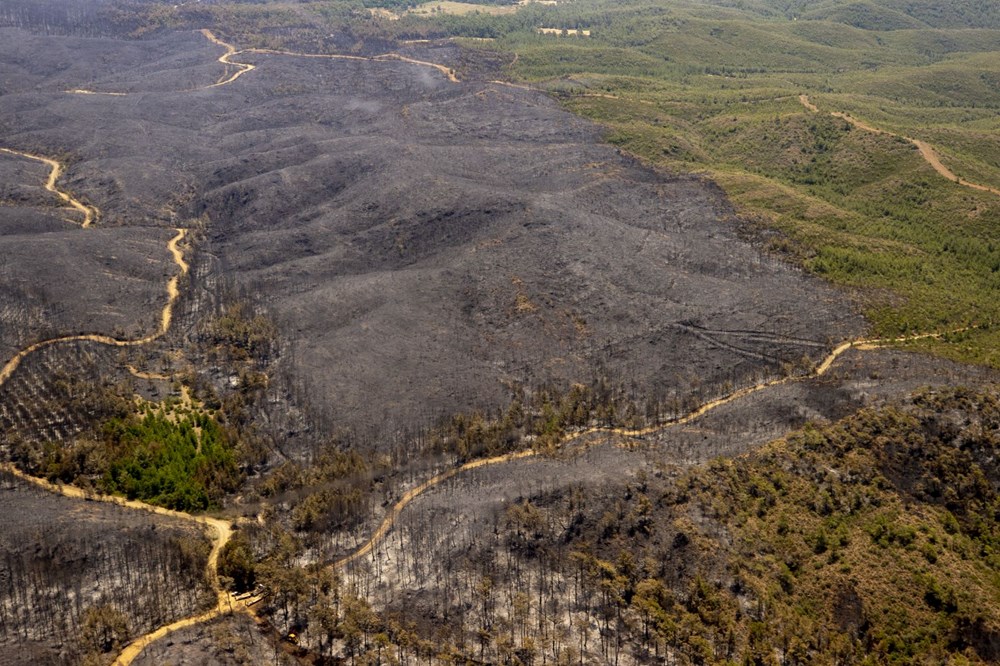 Marmarisdəki meşə yanğını nəzarət altına alındı – 4500 hektar ərazi zərər görüb – FOTO