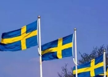 Türkiyəyə uçan İsveç nazirləri yari yoldan geri döndülər