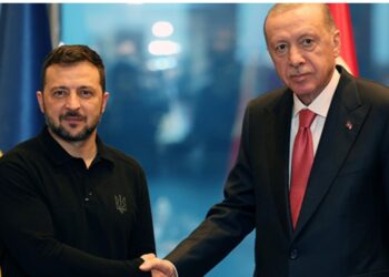 Ərdoğan Zelenski ilə görüşüb