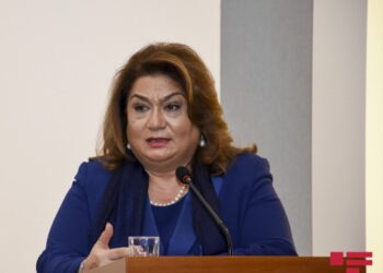 Komitə sədri: Suya əlçatanlılıq qadınlar üçün böyük problemdir