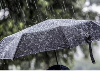 Rayonlara leysan yağır