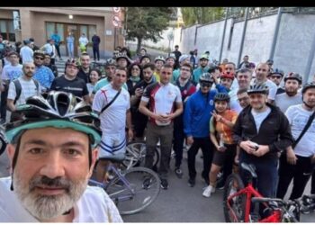 Gümrüdə velosiped sürən Nikola sahibsiz itlər hücum etdi