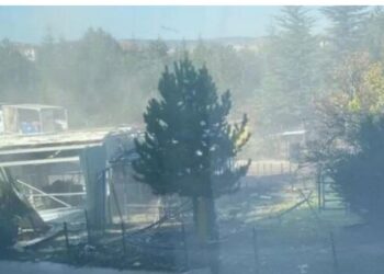 Türkiyədə terror hücumu: ölənlər var – Video/Yenilənib