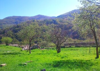 Dədə-baba yurdum  – Çaykənd haqqında