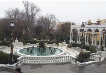 Elşad Məmmədov ev dustaqlığına buraxildi