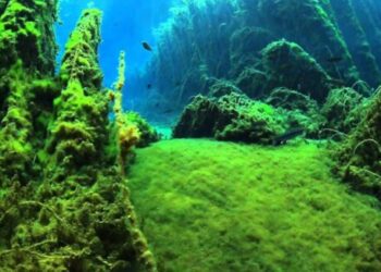 Türkiyənin gizli cənnəti: Gürün Gökpınar gölü – FOTOLAR