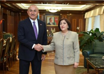 Spiker Sahibə Qafarova Çavuşoğlu ilə görüşüb