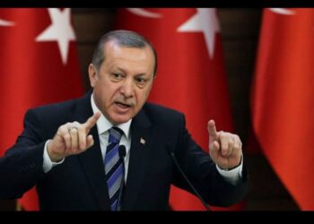 “Dəməşq düşdüyü üçün Ərdoğanın qızı sosial şəbəkələrdə atasını təbrik edib”-Erməni Politoloq