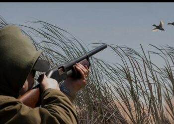 Hacıqabulda qanunsuz ov edən beş nəfər saxlanılıb