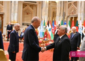 Əli Əsədov Qahirədə Rəcəb Tayyib Ərdoğan və digər dövlət başçıları ilə görüşüb