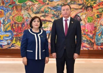 Spiker Sahibə Qafarova Zaur Askenderovun başçılıq etdiyi nümayəndə heyəti ilə görüşüb