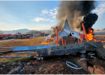 Cənubi Koreyada təyyarə qəzasi 181 həlak olub-Video