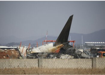 Təyyarəsi qəzaya düşən şirkət üzr istədi