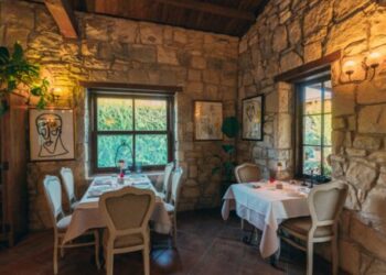 Türkiyə dayanıqlı kulinariyaya qucaq açır – FOTOLAR