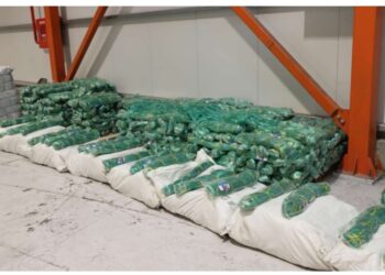 DGK Çindən Azərbaycana gələn balıq torlarına görə araşdırmaya başladı