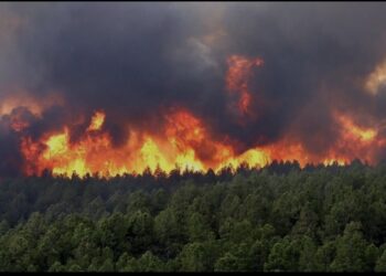 Los-Anceles də meşə yanğınları davam edir,180 min insan təxliyə edilir