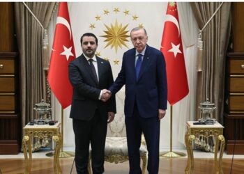 Türkiyə Prezidenti Suriya XIN rəhbərini qəbul edib