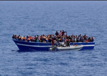 Fransa gömrükçüləri 84 miqrandi xilas etdi