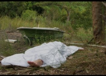 Zaqatalada 32 yaşlı qazını ayı parcalayib