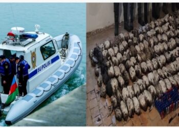 DİN: Su polisindən qanunsuz quş ovuna qarşı növbəti əməliyyat keçirilib-Video