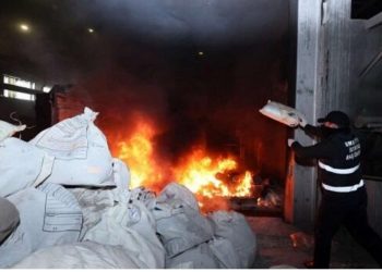 DGK Avropaya göndərilən 272 milyonluq narkotiki məhv etdi