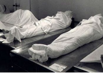 Bir ailənin 4 üzvü qətlə yetirilib