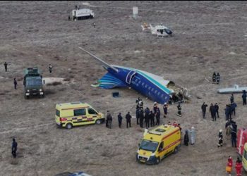 Təyyarə heç bir quşlarla toqquşmayib