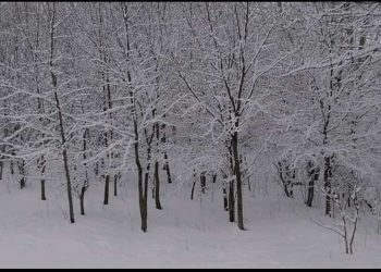 Lerikdə qarın hündürlüyü 79 sm-ə catdi