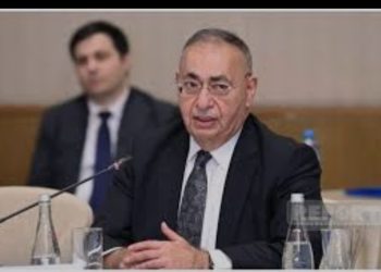 “Bu qüvvələr insanların olduğu təyyarəni vurur, vətəndaşlara qarşı qəddar hərəkətlərə yol verir”-Asim Mollazadə