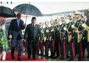 Prezident Ərdoğanın Asiyada ikinci səfəri: İndoneziya