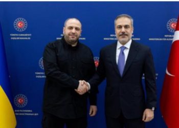 Xarici işlər naziri Fidan Rüstəm Umerovla görüşüb