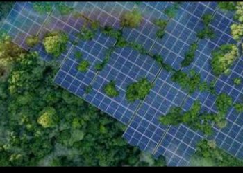 Azərbaycan, Özbəkistan və Qazaxıstan arasında “Yaşil Enerji” tərəfdaşlıq Sazişi TƏSDİQLƏNDİ