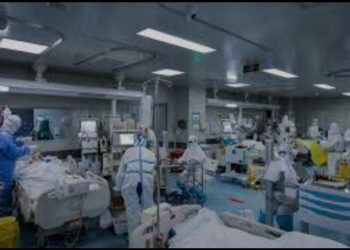 Çində yeni virus aşkarlanıb