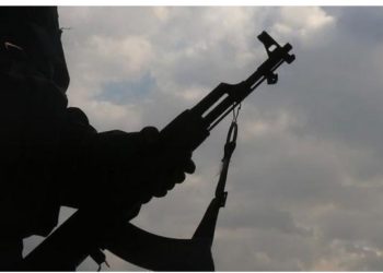 Terror təşkilatı PKK-nın silahı yerə qoyması çağırışı ilə bağlı ABŞ və Almaniyadan açıqlama