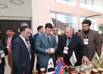 TİKA 14 fərqli ölkədən arıçıları Bakıda bir araya gətirdi