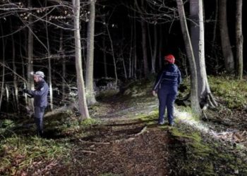 İtkin düşən qadın Belqrad meşəsində axtarılır