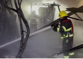 Dərnəgül taxta bazarında yanğın baş verib-Video