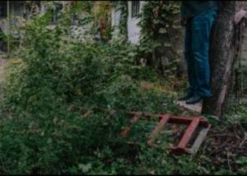 Oğuzda 32 yaşlı kişi dağda asılmış vəziyyətdə tapıldı