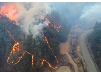 Cənubi Koreyada meşə yanğınları nəticəsində ölənlərin sayı 26-ya çatıb