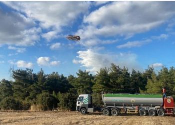 Türkiyədə  Meşə yanğınına səbəb olan 2 qardaşa 4 milyon 600 min lirə pul cəzası kəsildi