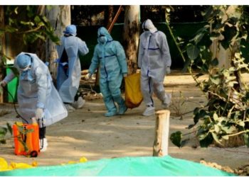 Meksikada ilk dəfə insanda H5N1 quş qripi ştammı aşkarlanıb