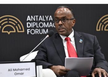 Somalinin Xarici İşlər və Beynəlxalq Əməkdaşlıq üzrə Dövlət Naziri Ömər ADF haqqında xoş sözlərlə çıxış etdi