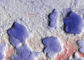 Kanadada yeni zirehli dinozavr növü tapılıb