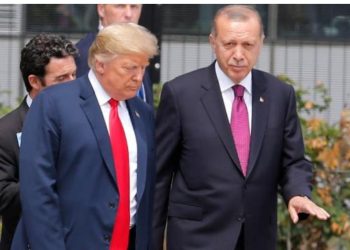 Prezident Ərdoğan ABŞ prezidenti Trampla görüşüb