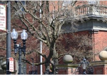 ABŞ Təhsil Departamenti Harvard Universiteti üçün Yeni Federal Maliyyələşdirməni Açıqladı