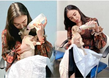 Leyla Əliyeva Bakı Zooparkında dünyaya gələn şir balasını bəsləyib-Foto+Video