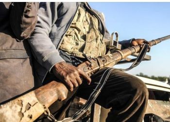 Somalidə baş verən qarşıdurmada 70 Əl-Şəbab üzvü zərərsizləşdirilib