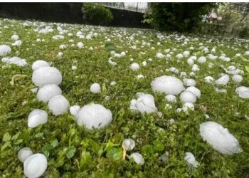 Qaxda güclü dolu və leysan kənd təsərrüfatına ciddi ziyan vurub